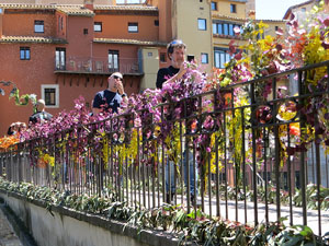 Temps de Flors 2026. Pont d'en G&oacute;mez