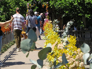Temps de Flors 2026. Pont d'en G&oacute;mez