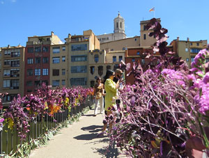 Temps de Flors 2026. Pont d'en G&oacute;mez