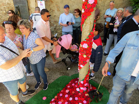 Temps de Flors 2026. La Lleona de Girona