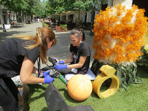 Temps de Flors 2026. Preparaci&oacute; i muntatges