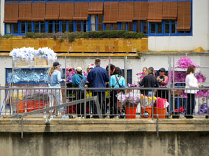 Temps de Flors 2026. Preparaci&oacute; i muntatges