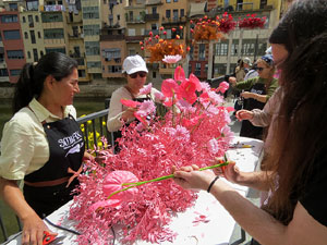 Temps de Flors 2026. Preparaci&oacute; i muntatges