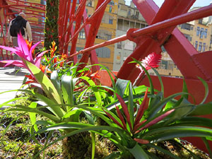 Temps de Flors 2026. Preparaci&oacute; i muntatges
