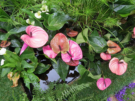 Temps de Flors 2026. Museu d'Hist&ograve;ria, El claustre