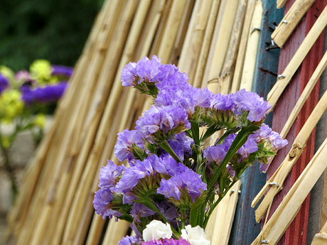 Temps de Flors 2026. Passeig Arqueo&ograve;gic, Mirador de dalt