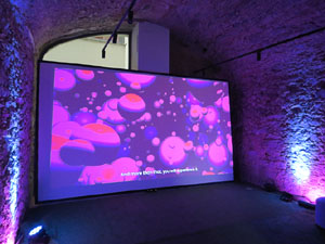 Temps de Flors 2026. El Modern. Centre Audiovisual i Digital
