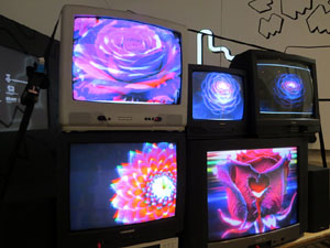 Temps de Flors 2026. El Modern. Centre Audiovisual i Digital