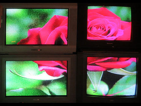 Temps de Flors 2026. El Modern. Centre Audiovisual i Digital