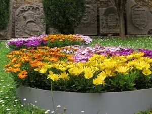 Temps de Flors 2026. Museu d'Art. Jard&iacute;