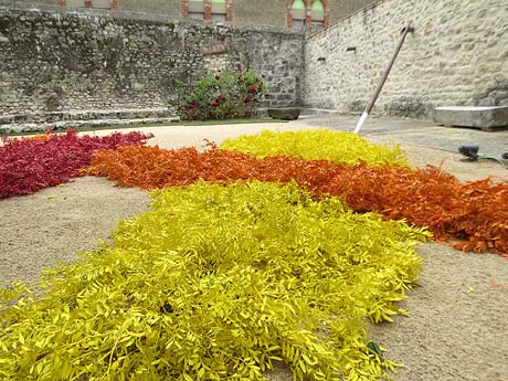 Temps de Flors 2026. Museu d'Art. Jard&iacute;