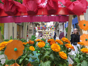 Temps de Flors 2026. Carrer Nou