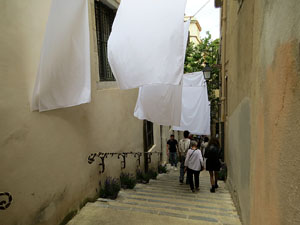 Temps de Flors 2026. Carrer Miquel Oliva i Prat