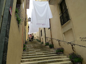 Temps de Flors 2026. Carrer Miquel Oliva i Prat