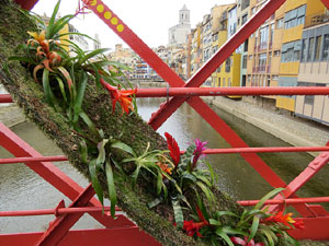 Temps de Flors 2026. Pont de les Peixateries Velles
