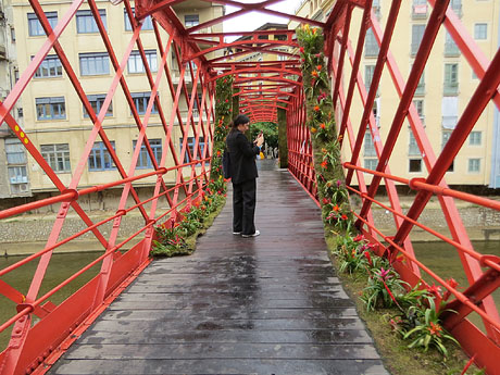 Temps de Flors 2026. Pont de les Peixateries Velles