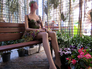 Temps de Flors 2026. Pla&ccedil;a del Vi