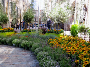 Temps de Flors 2026. Pla&ccedil;a del Vi