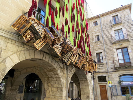 Temps de Flors 2026. Pla&ccedil;a del Vi 4