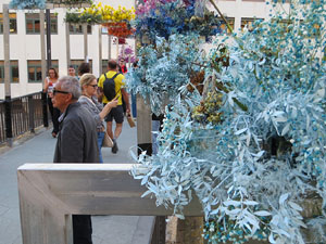 Temps de Flors 2026. Pont de Sant Agust&iacute;