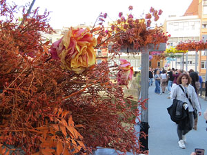 Temps de Flors 2026. Pont de Sant Agust&iacute;