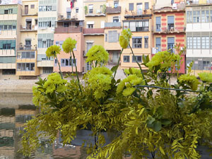 Temps de Flors 2026. Pont de Sant Agust&iacute;