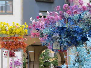 Temps de Flors 2026. Pont de Sant Agust&iacute;