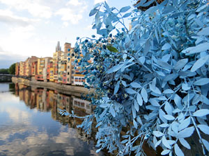 Temps de Flors 2026. Pont de Sant Agust&iacute;