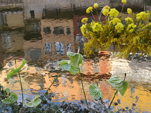 Temps de Flors 2026. Pont de Sant Agust&iacute;