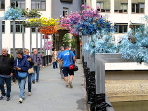 Temps de Flors 2026. Pont de Sant Agust&iacute;