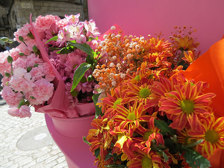 Temps de Flors 2026. Pujada del pont de Pedra