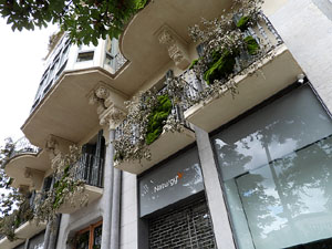 Temps de Flors 2026. Casa Sabat&eacute; (fa&ccedil;ana)