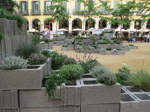 Temps de Flors 2026. Pla&ccedil;a de la Independ&egrave;ncia