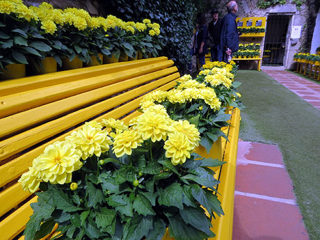 Temps de Flors 2026. Sant Crist&ograve;fol
