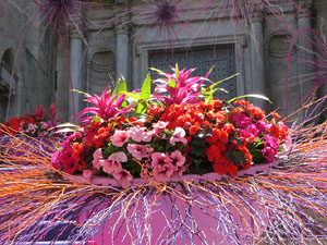 Temps de Flors 2026. Bas&iacute;lica de Sant Feliu. Escalinata principal
