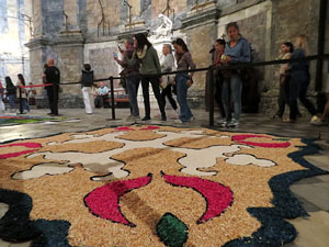 Temps de Flors 2026. Bas&iacute;lica de Sant Feliu (interior)