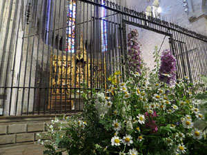 Temps de Flors 2026. Bas&iacute;lica de Sant Feliu (interior)