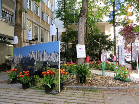 Temps de Flors 2026. Avinguda Sant Francesc