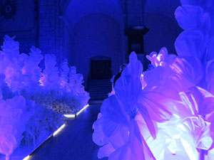 Temps de Flors 2026. Esgl&eacute;sia de Sant Mart&iacute; (Seminari)