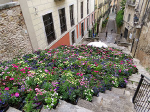 Temps de Flors 2026. Esgl&eacute;sia de Sant Mart&iacute;. Escales