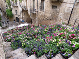Temps de Flors 2026. Esgl&eacute;sia de Sant Mart&iacute;. Escales
