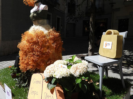 Temps de Flors 2026. Santa Clara (placeta)