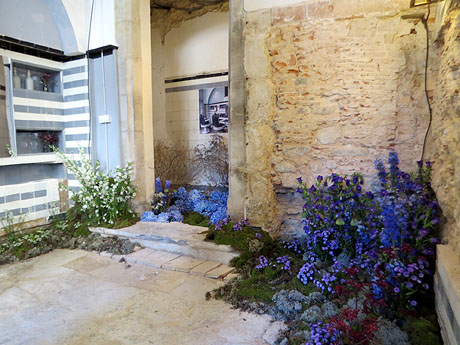 Temps de Flors 2026. Pla&ccedil;a del Vi amb carrer Albereda