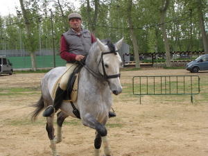 Ampliar