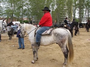 Ampliar