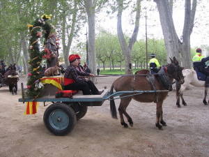 Ampliar
