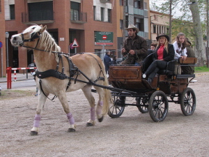 Ampliar