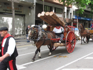 Ampliar