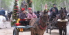 Aplec eq&uuml;estre de Sant Antoni 2012