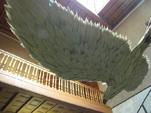 Ampliar